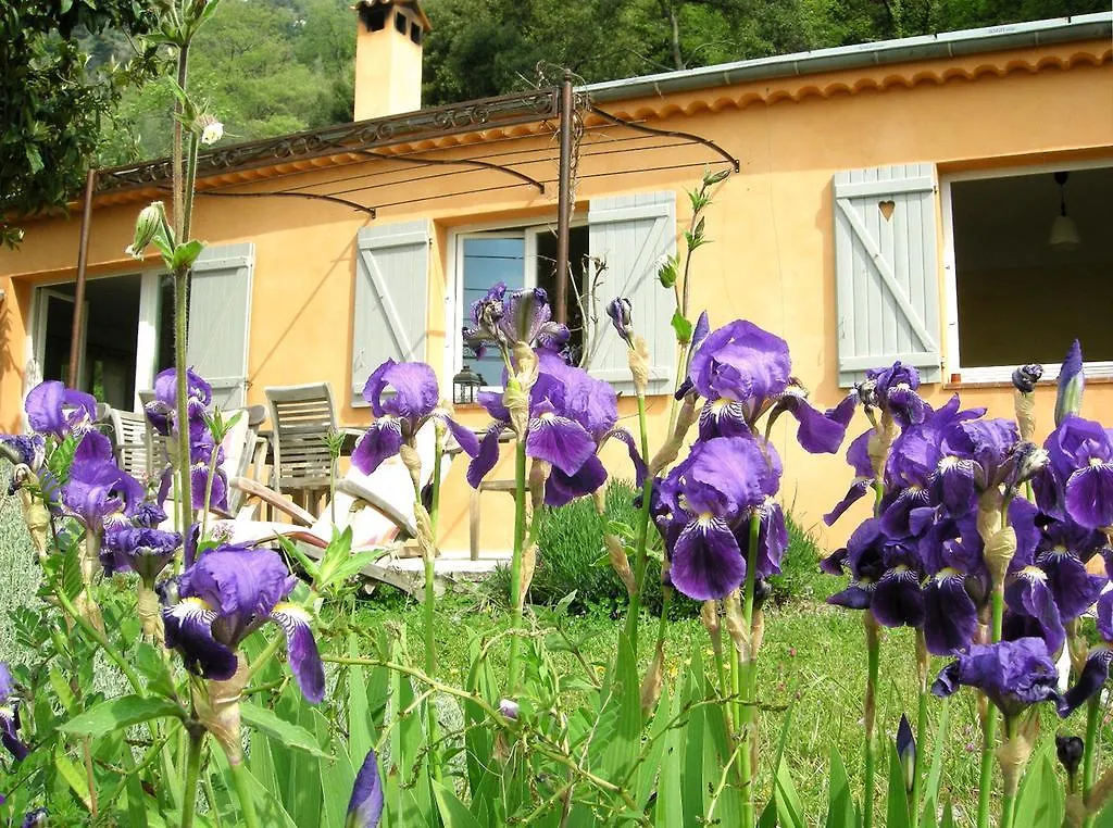 Les Mas D'Azur Villa Vence Holiday home