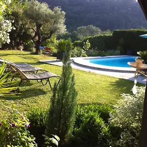 Abeille Vence